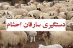 پايان کار سارقان احشام در شاهين شهر