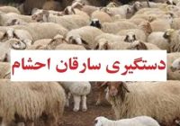 پايان کار سارقان احشام در شاهين شهر پايان کار سارقان احشام در شاهين شهر