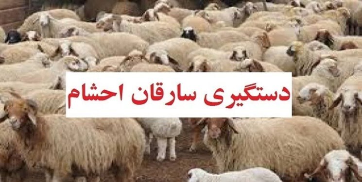 پايان کار سارقان احشام در شاهين شهر