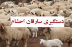 دستبند پلیس برخوار بر دستان سارق احشام